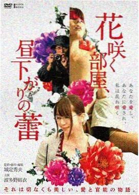 动漫新闻 高清动漫免费看